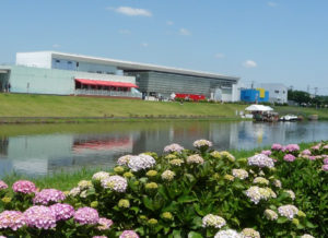 「ふるさと多古町あじさい祭り」に元気豚が出店します。